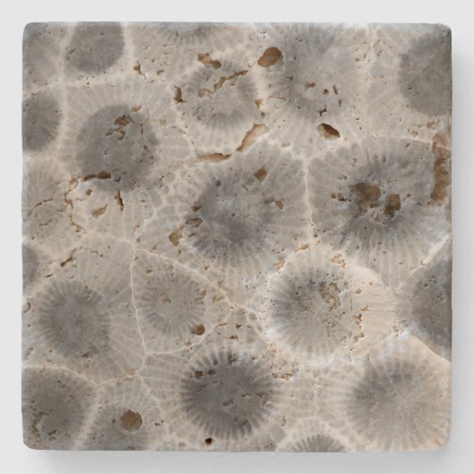 Dessous-de-verre En Pierre Motif Petoskey Stone (Devant)