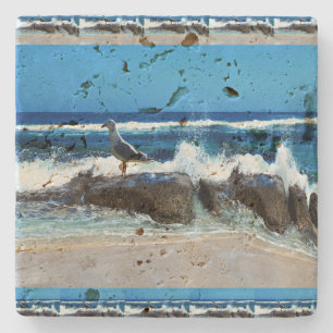Dessous-de-verre En Pierre Mouette Sur Les Rochers De Plage,