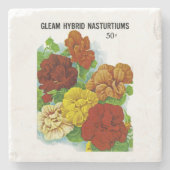 Dessous-de-verre En Pierre Nasturtsiums (Devant)
