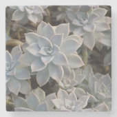 Dessous-de-verre En Pierre Naturellement Beaux succulents Botanique (Devant)