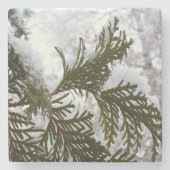 Dessous-de-verre En Pierre Neige sur les branches À feuillage persistant (Devant)