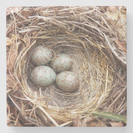 Dessous-de-verre En Pierre Nid d'oiseau Avec Oeufs Bleus Spectrés Photo (Devant)