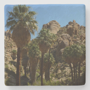 Dessous-de-verre En Pierre Oasis Lost Palms I dans le parc national de Joshua