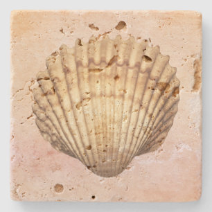 Dessous-de-verre En Pierre Œuvre d'art aquarelle coquillage artistique Mignon