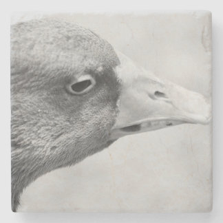 Dessous-de-verre En Pierre Oie BW