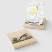 Dessous-de-verre En Pierre Oie de Bernache du Canada (Bernache du Canada) d'A (Côté)