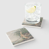 Dessous-de-verre En Pierre Oiseau de Courlis à long bec Audubon (Côté)