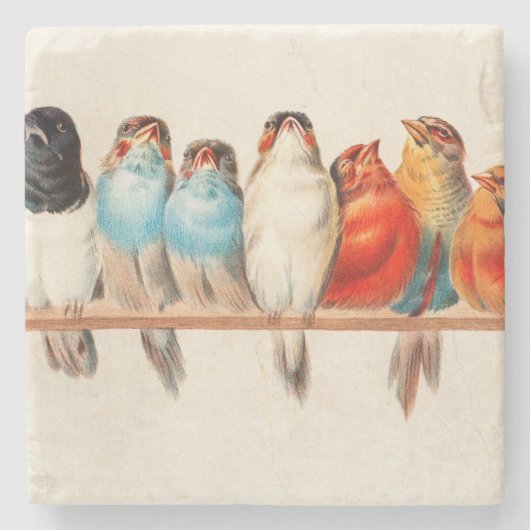 Dessous-de-verre En Pierre Oiseaux Assis joliment et calmes (Devant)