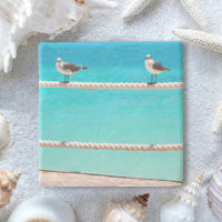 Oiseaux de plage de mer turquoise photo côtière