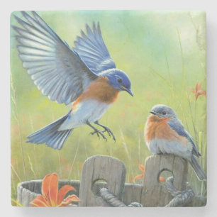 Dessous-de-verre En Pierre Oiseaux jouant sur le terrain