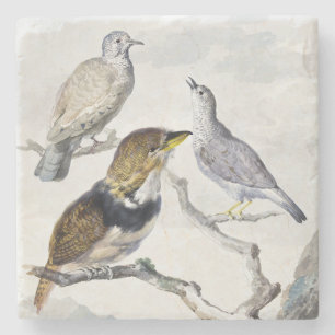 Dessous-de-verre En Pierre Oiseaux sur une branche dans un ton neutre élégant