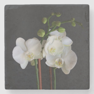 Dessous-de-verre En Pierre Orchidée blanche crémeuse