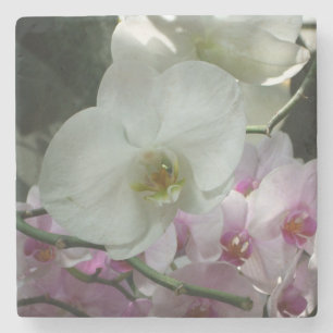 Dessous-de-verre En Pierre Orchidées blanches et violettes