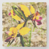 Dessous-de-verre En Pierre Orchidées d'ânes (Devant)