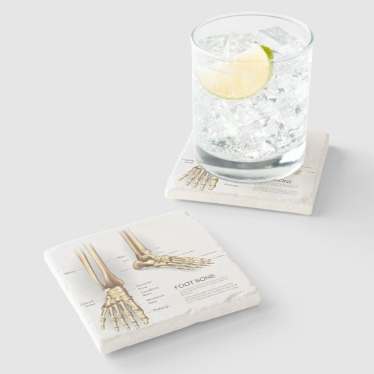 Dessous-de-verre En Pierre Os de pied humain (Côté)