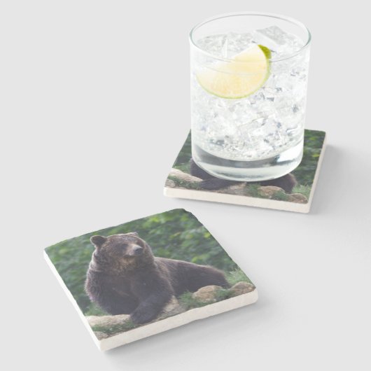 Dessous-de-verre En Pierre Ours Brown (Côté)