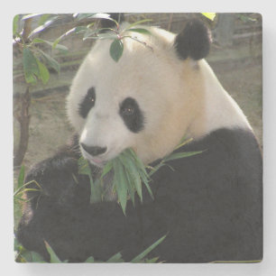 Dessous-de-verre En Pierre Ours de panda géant
