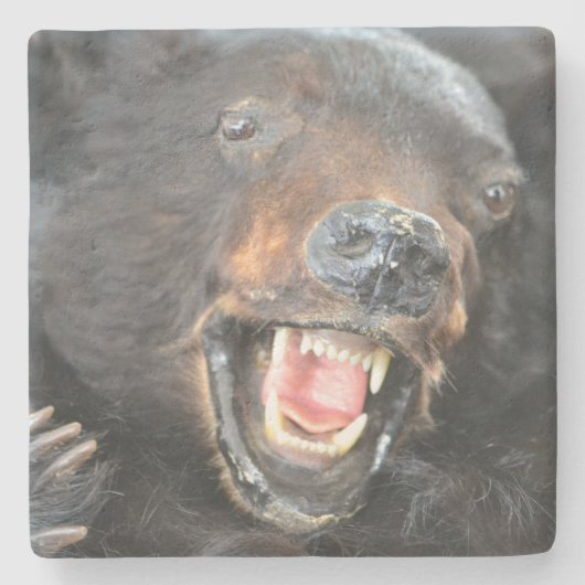 Dessous-de-verre En Pierre Ours effrayant (Devant)