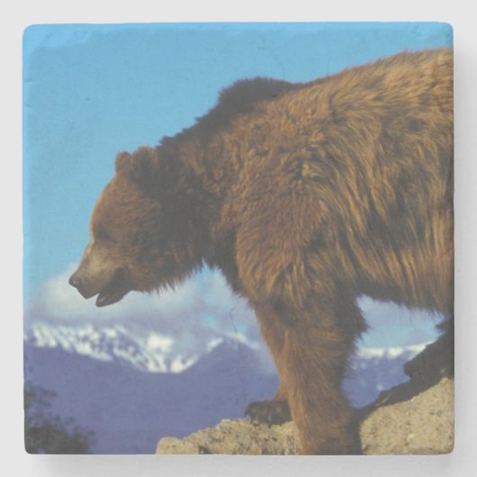 Dessous-de-verre En Pierre Ours Grizzly (Devant)