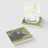 Dessous-de-verre En Pierre Ours noir (Côté)