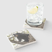 Dessous-de-verre En Pierre Ours noir Escalade (Côté)