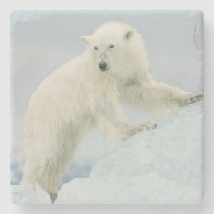 Dessous-de-verre En Pierre Ours polaire en été