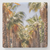 Dessous-de-verre En Pierre Palmeros/Palmiers (Devant)