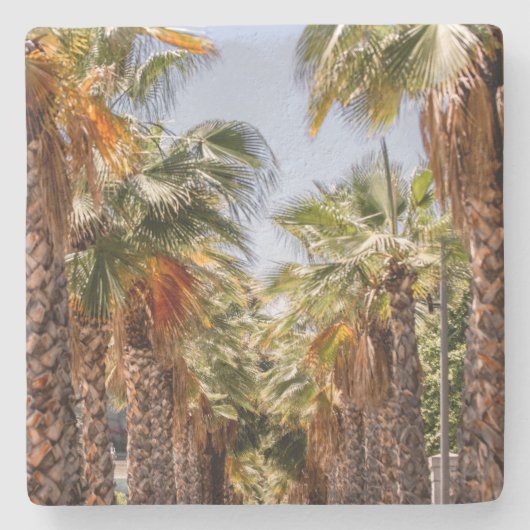 Dessous-de-verre En Pierre Palmeros/Palmiers (Devant)
