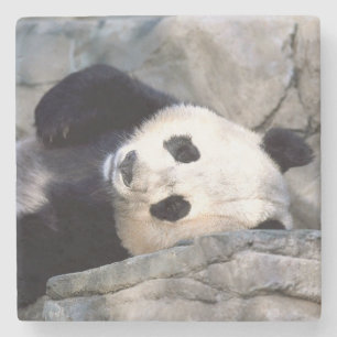 Dessous-de-verre En Pierre Panda