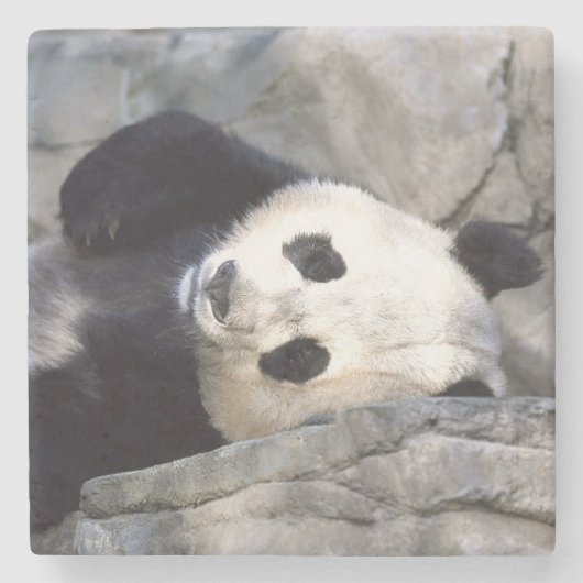 Dessous-de-verre En Pierre Panda (Devant)