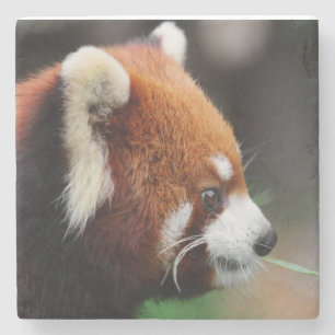 Dessous-de-verre En Pierre Panda rouge