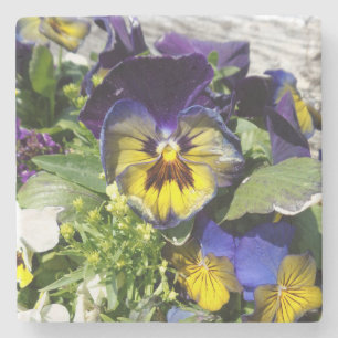 DESSOUS-DE-VERRE EN PIERRE PANSIES !
