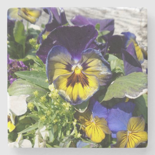DESSOUS-DE-VERRE EN PIERRE PANSIES ! (Devant)