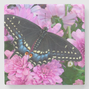 Dessous-de-verre En Pierre Papillon damier de Baltimore