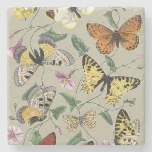 Dessous-de-verre En Pierre Papillon de nuit vintage 1842 Art botanique floral