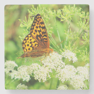 Dessous-de-verre En Pierre Papillon orange et noir sur fleurs