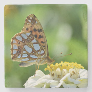 Dessous-de-verre En Pierre Papillon Reine d'Espagne sur Fleur Jaune et Blanch
