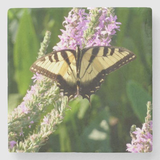 Dessous-de-verre En Pierre Papillon Swallowtail sur Fleurs sauvages pourpres (Devant)