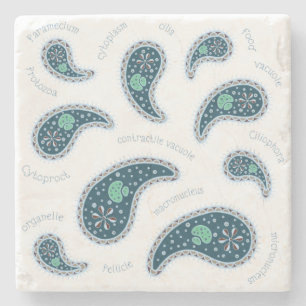 Dessous-de-verre En Pierre Paramecia Paisley Protozoaire Sciences de la biolo