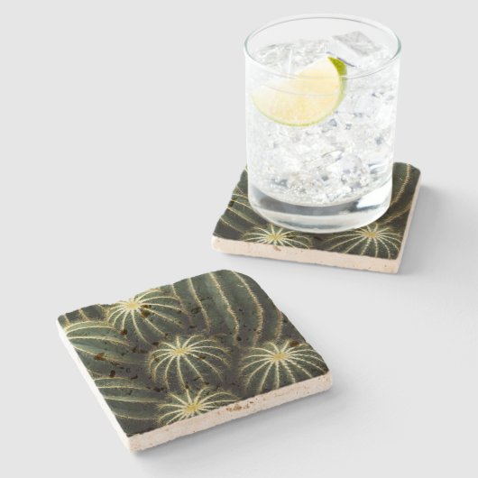 Dessous-de-verre En Pierre Parodia Magnifica (Balloon Cactus) (Côté)