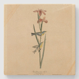 Dessous-de-verre En Pierre Parula du nord des oiseaux d'Amérique d'Audubon