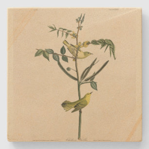 Dessous-de-verre En Pierre Paruline pour enfants d'Audubon's Birds of America