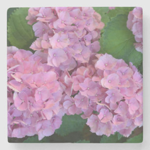 Dessous-de-verre En Pierre Pastel rose Hortensia hydrangea fleurs
