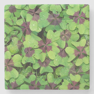 Dessous-de-verre En Pierre Patte de quatre feuilles de trèfle, Sorrel, avec D