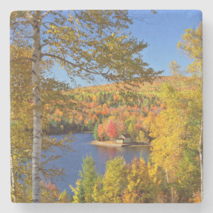 Dessous-de-verre En Pierre Paysage d'arbres en automne, Maine