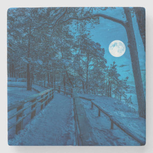 Dessous-de-verre En Pierre Paysage d'hiver avec pinède enneigée