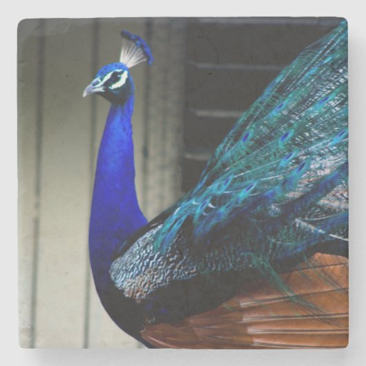 Dessous-de-verre En Pierre Peacock bleu (Devant)