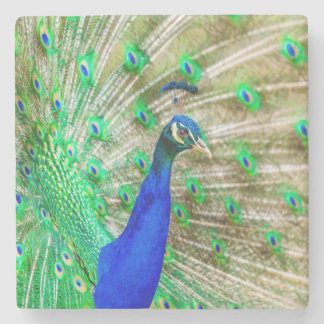 Dessous-de-verre En Pierre Peacock Plumage
