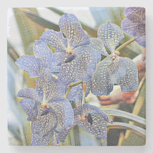 Dessous-de-verre En Pierre Peinture moderne violet bleu orchidée Fleurs