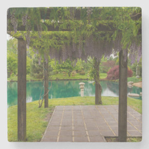 Dessous-de-verre En Pierre Pergola De Wisteria